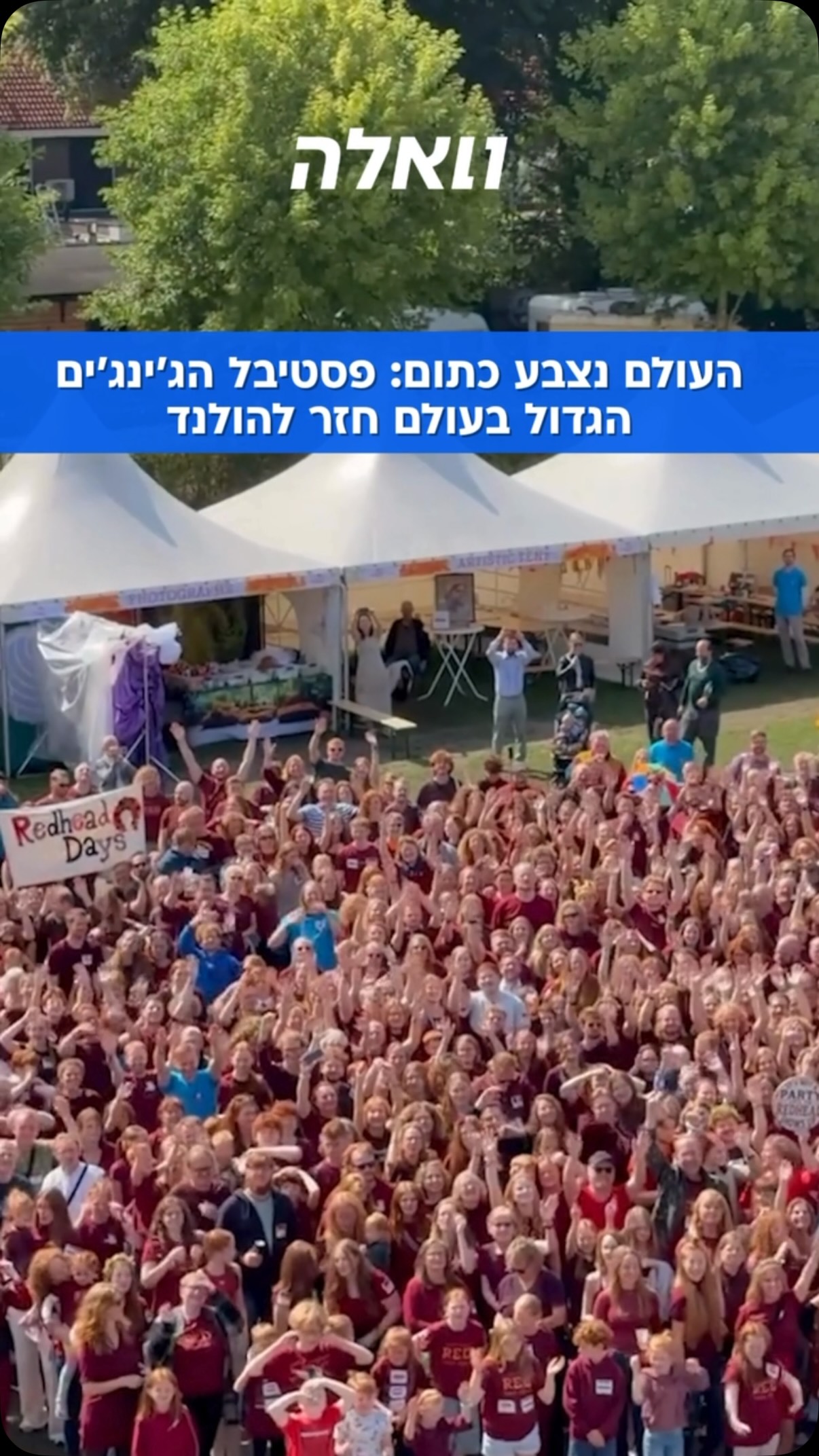 כתום זה השחור החדש 🧡...