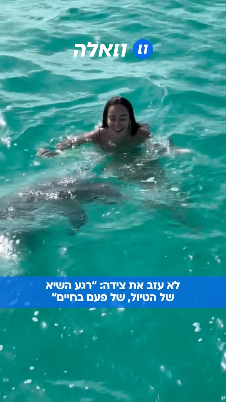 קפטן טים, הקפטן של הסירה, מכיר את ג’וג’ו הדולפין במשך 40 שנה....