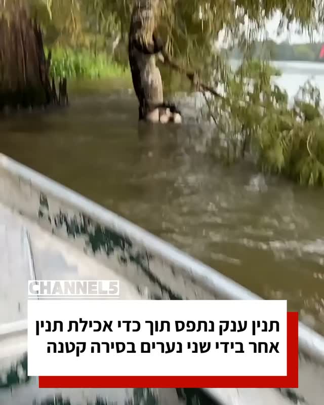 תנין ענק נתפס תוך כדי אכילת תנין אחר בידי שני נערים בסירה...
