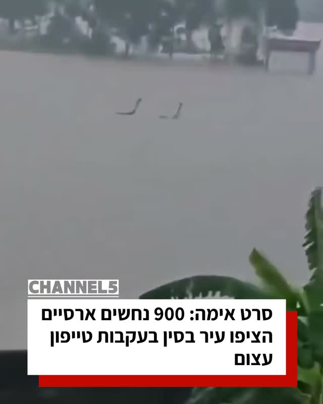סרט אימה: 900 נחשים ארסיים הציפו עיר בסין בעקבות טייפון עצום...