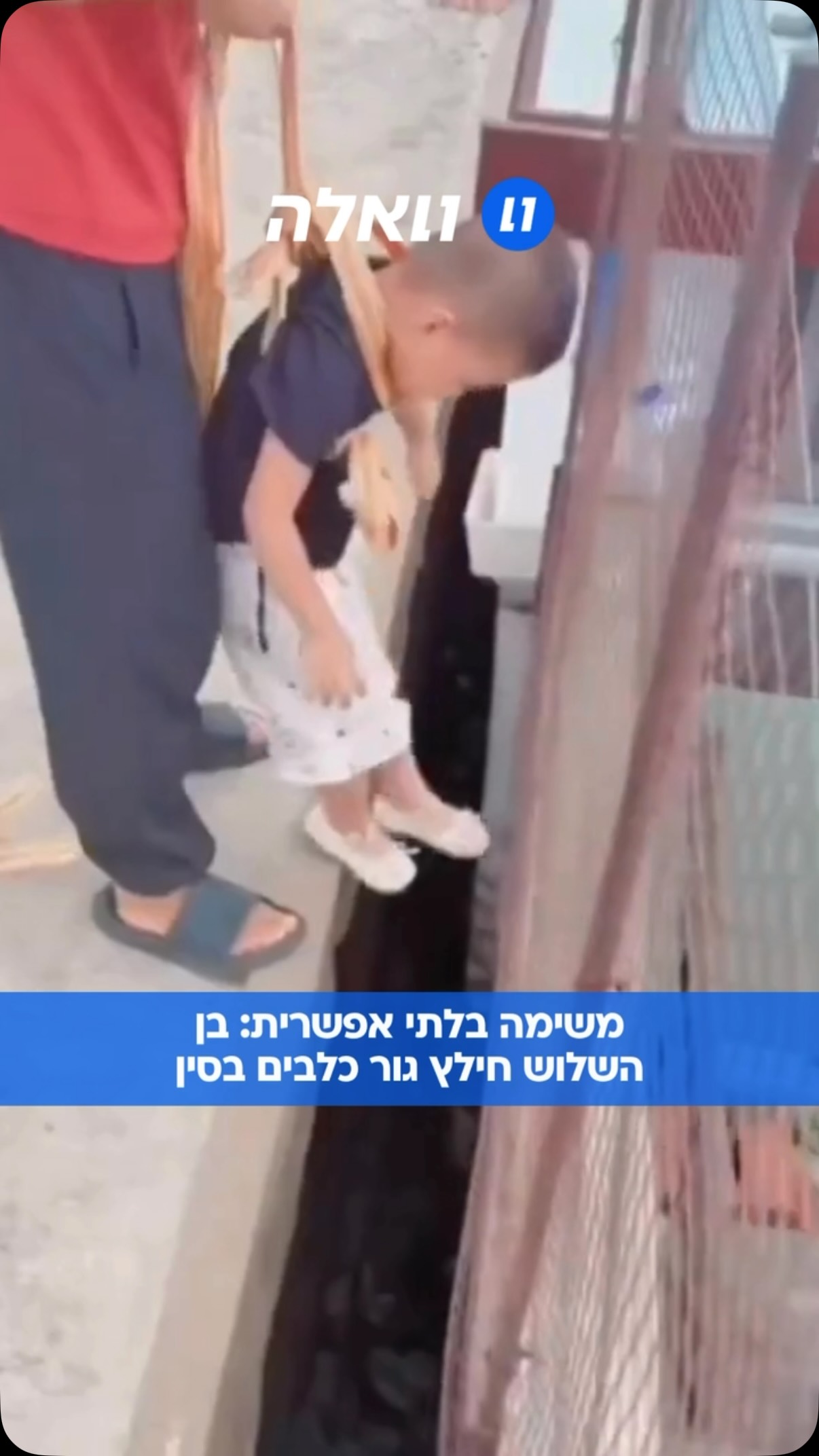 אב בלינשיה שבסין אבטח את בן השלוש שלו באמצעות רתמה מאולתרת,...