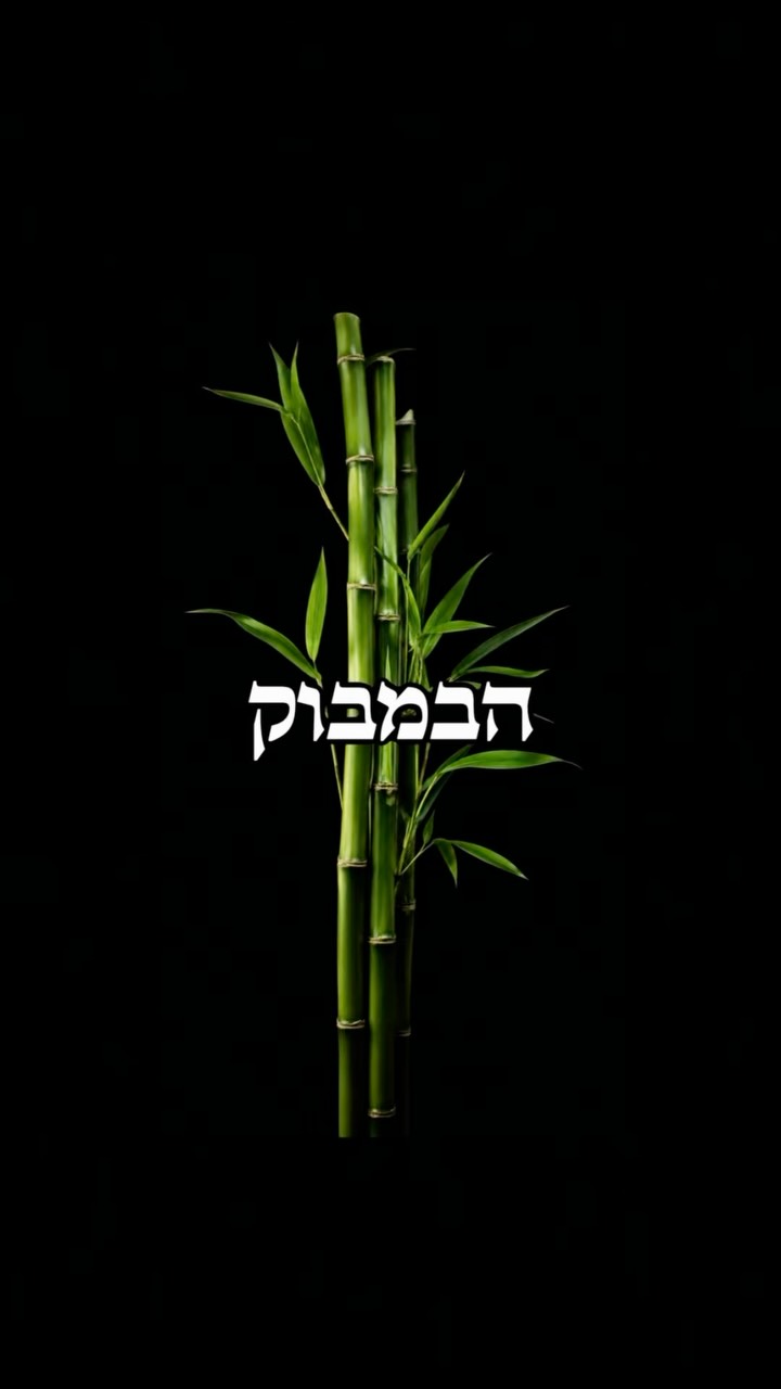 מאחל לכולנו את רגע הבמבוק 🎋...