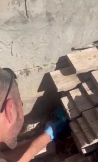 דוברות המשטרה ...