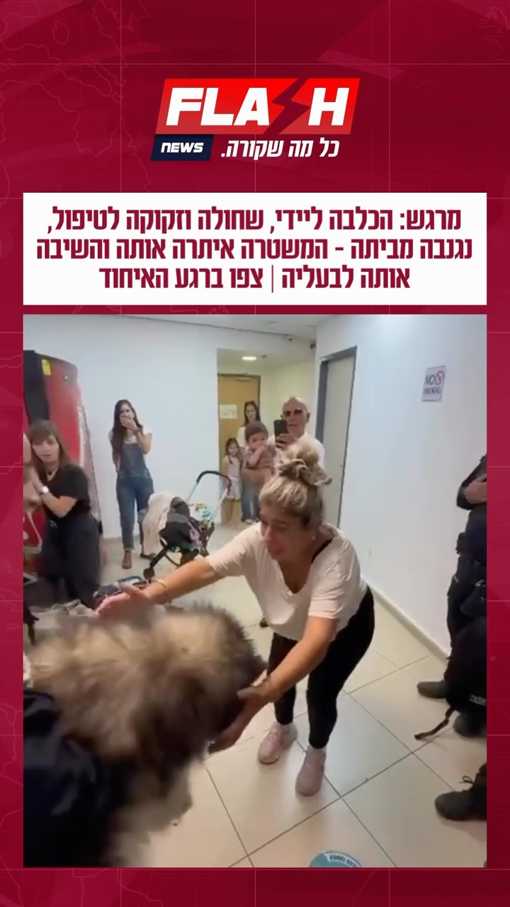 כלבה בשם ליידי, הסובלת מבעיות רפואיות וזקוקה לטיפול צמוד,...