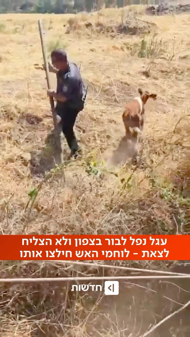 לא השאירו אותו מאחור ❤️...