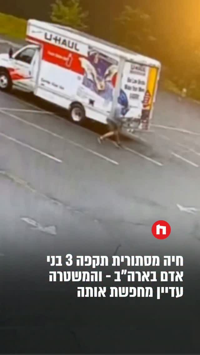 חיה מסתורית תקפה 3 בני אדם בארה"ב - והמשטרה עדיין מחפשת אותה...