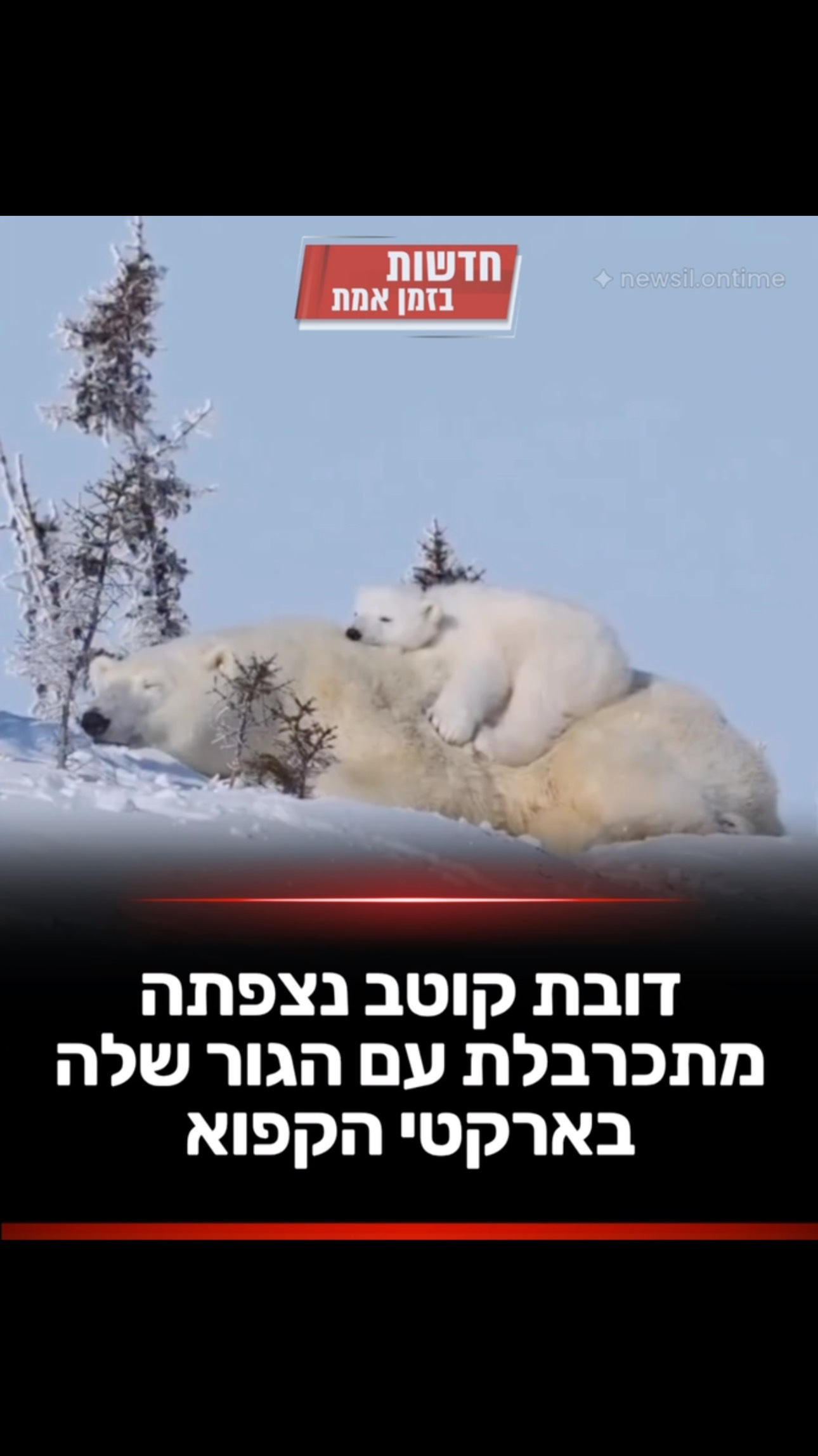 נמסנו - תיכף נשוב 😍...