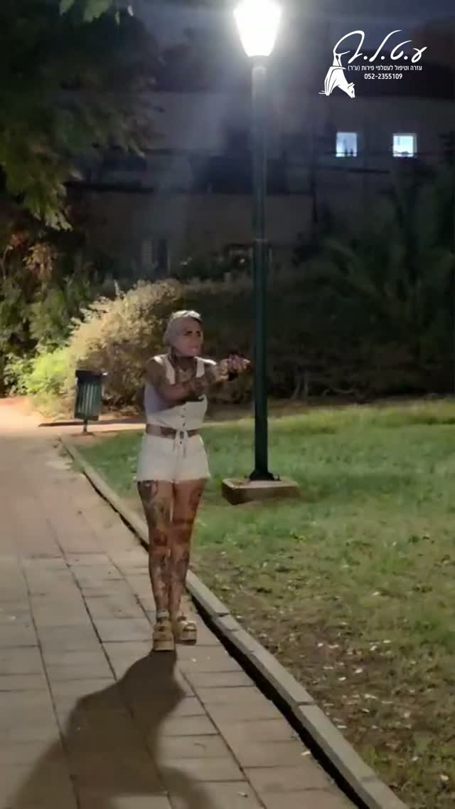 שילה כמעט התייאשה מניסיונות האיחוד ואז שינוי קטן עשה את כל...