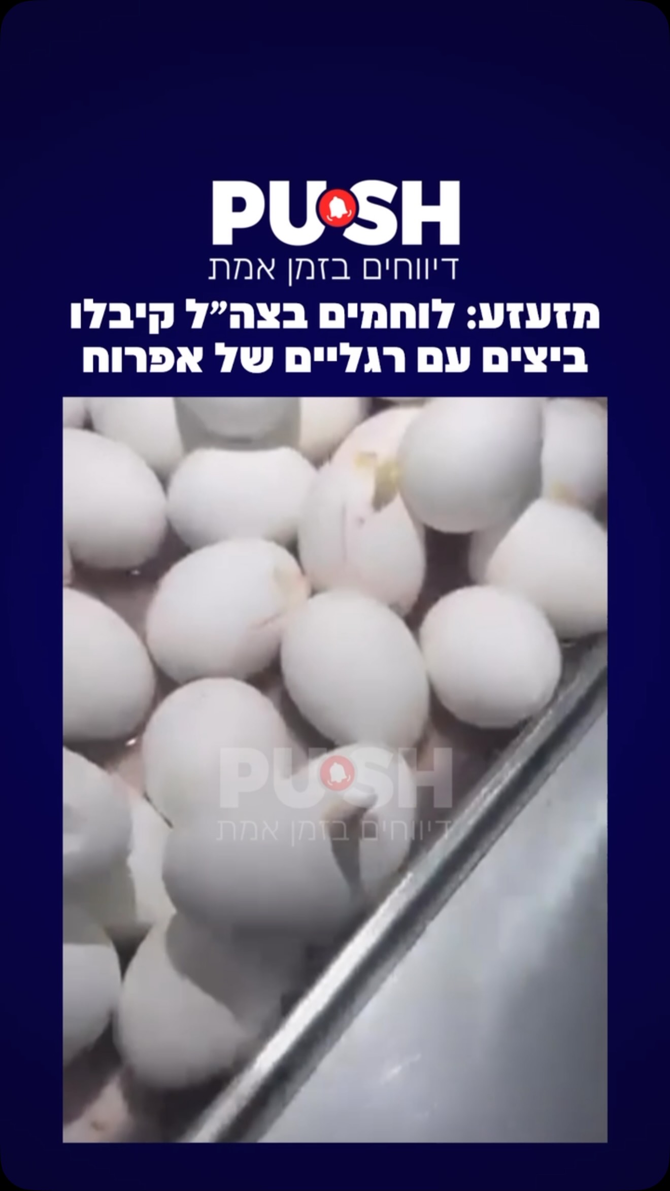 מזעזע: לוחמים בצה״ל קיבלו ביצים עם רגליים של אפרוח...