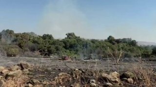 במהלך החג פרצה שרפה בשמורת הטבע תל דן, מטיילים פונו מהמקום....