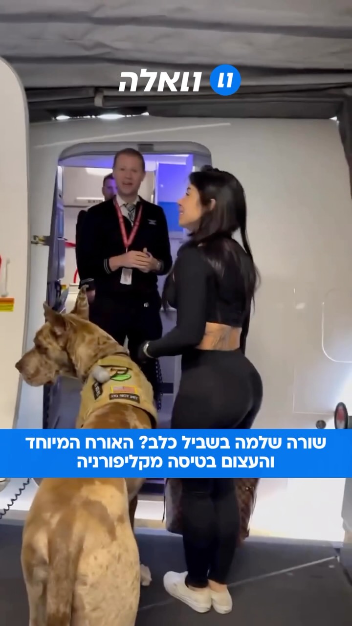 פינוק מוגזם או חלום שכל כלב חייב לקבל?...