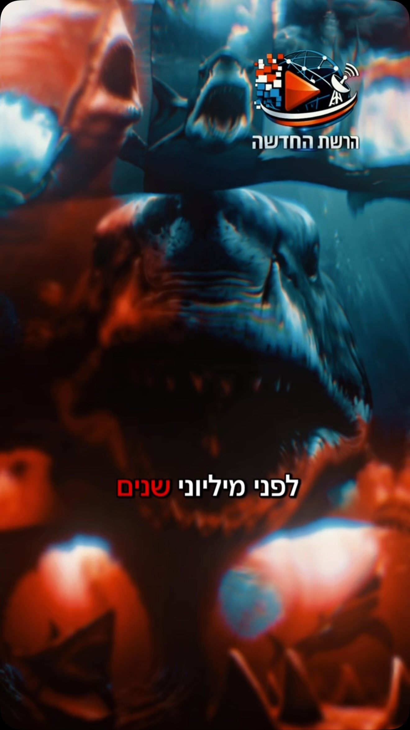 המגלודון החיה המתולוגית ששלטה פעם במעמקים 🦈