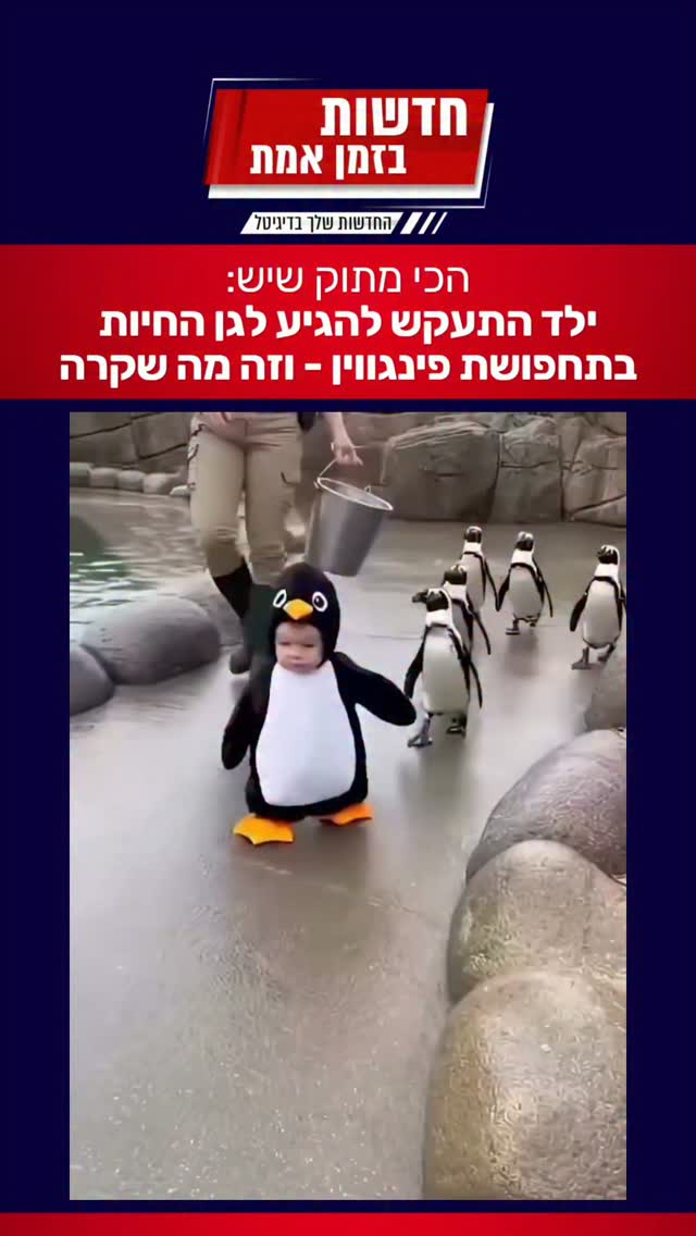 הילד הכי מתוק בספארי 🐧...