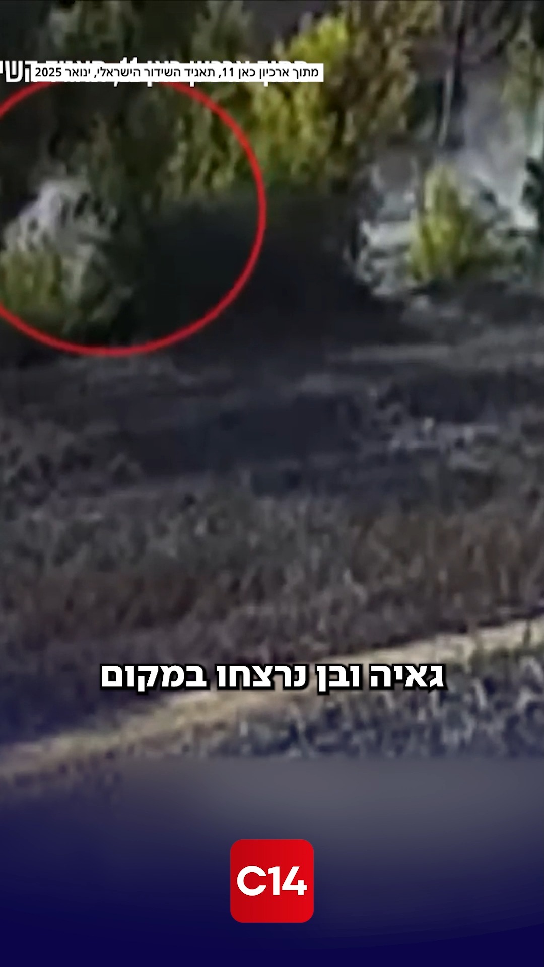 ⁨ "גם אם אני לא רואה את הטוב אני ממשיך להאמין בו": שורד הנובה...