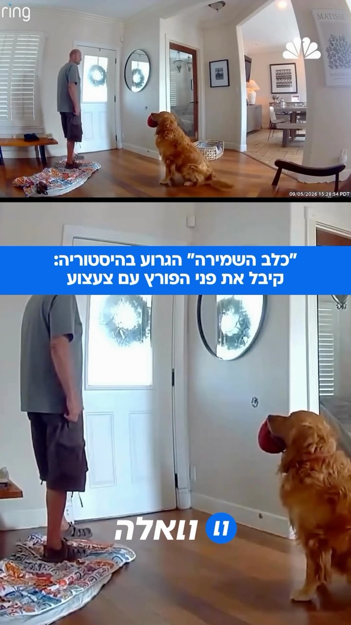 בשכונת שרמן הייטס שבעיר סן דייג, פורץ טיפס דרך חלון בקומה...