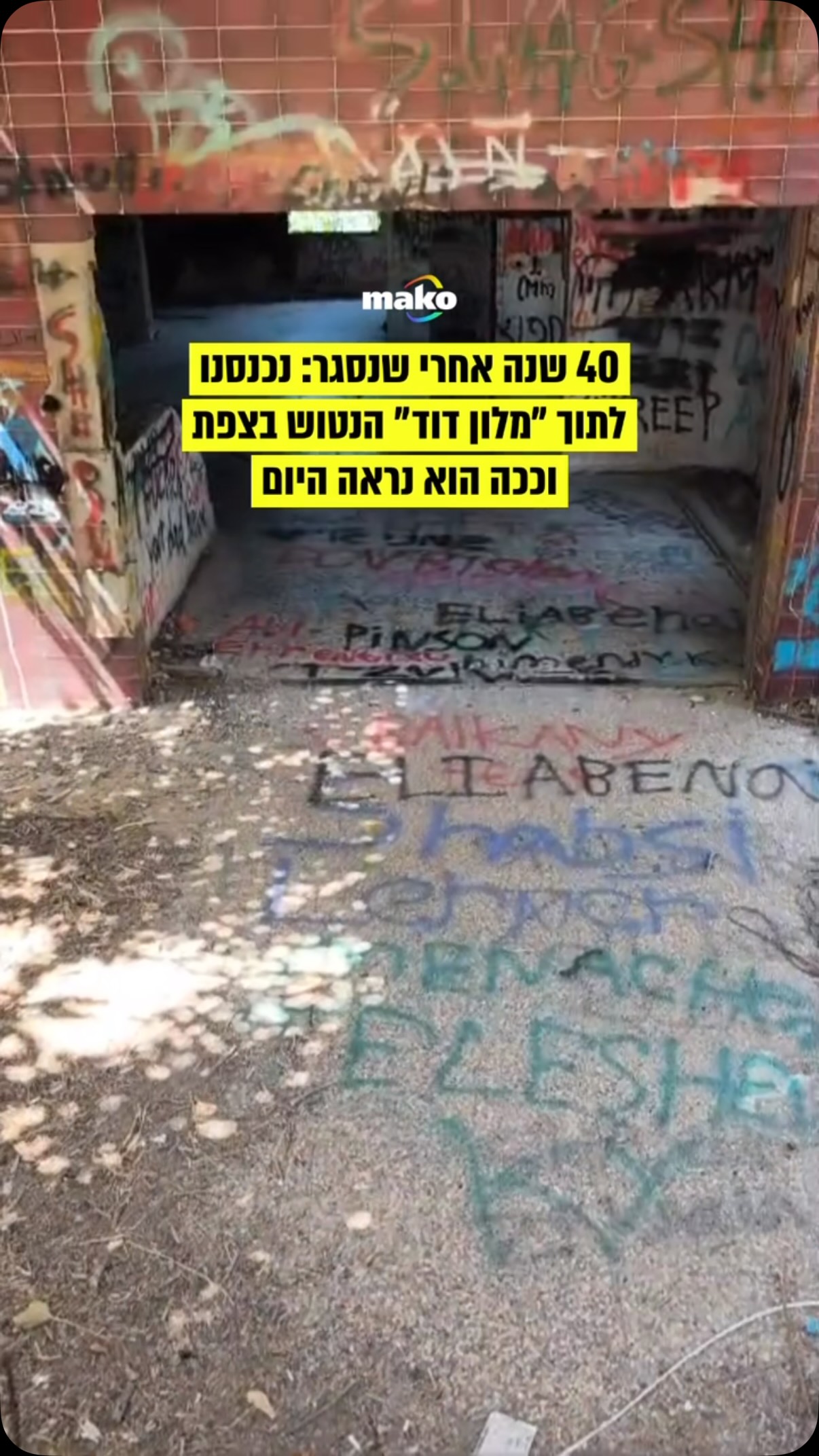 ישראל מרושתת בבתי מלון ענקיים שהפכו לפילים לבנים שוממים,...