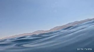 הטבע הימי הישראלי: אמש, במהלך משמרת עמוסה של שיטור החוף באילת,...