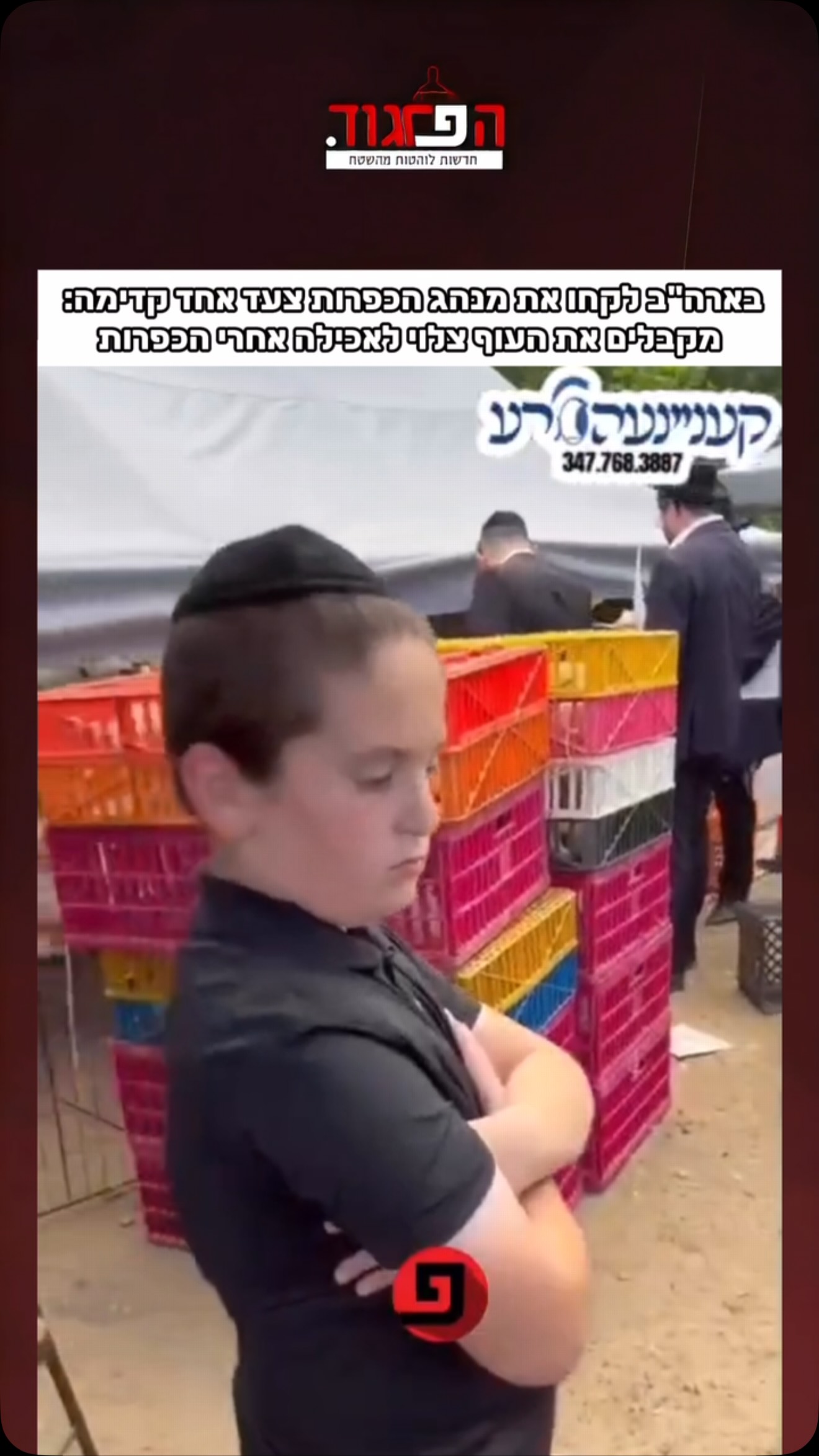 בארה”ב לקחו את מנהג הכפרות צעד אחד קדימה: מסובבים תרנגול מעל...