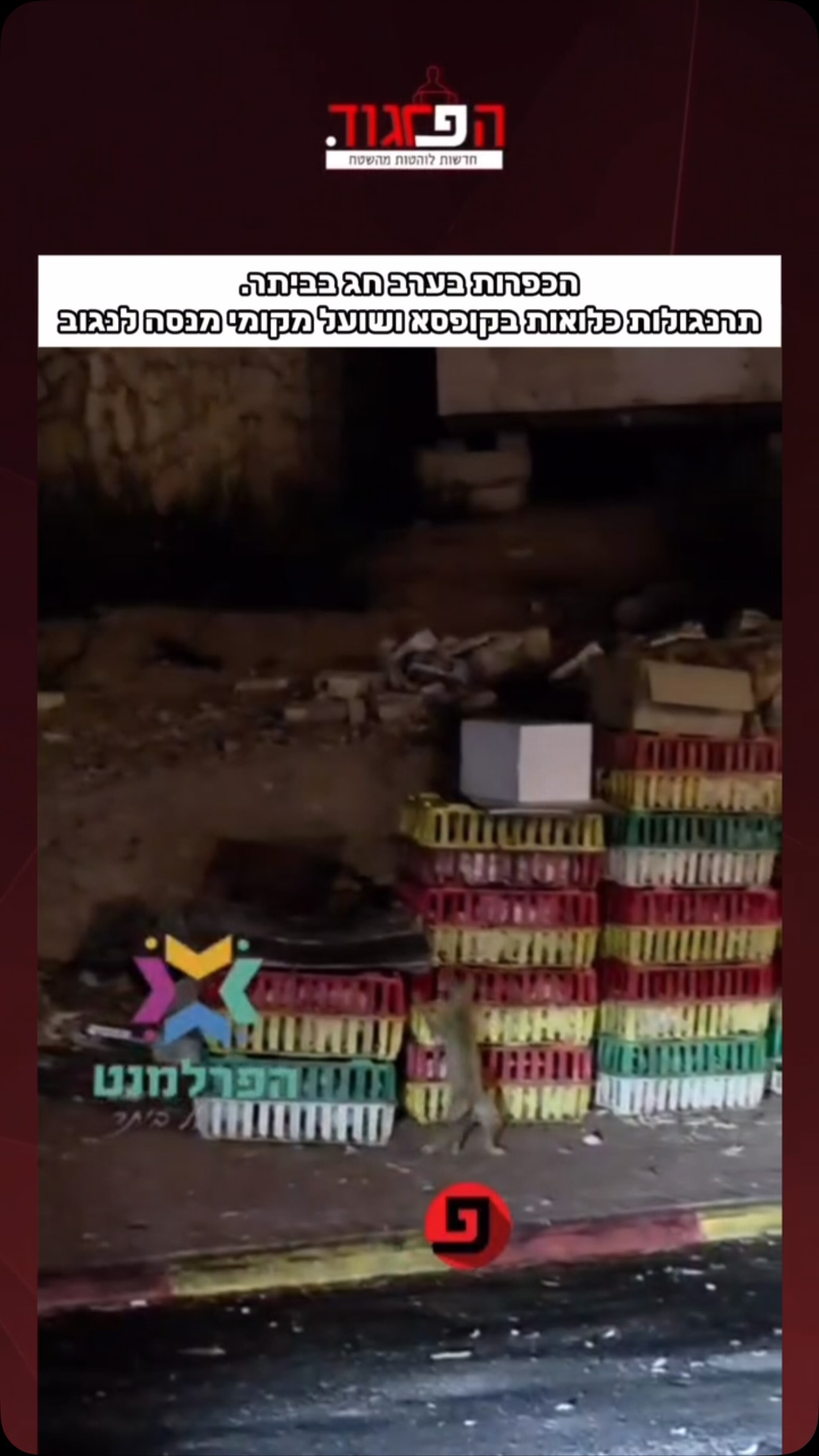 הכפרות בערב חג בביתר...
