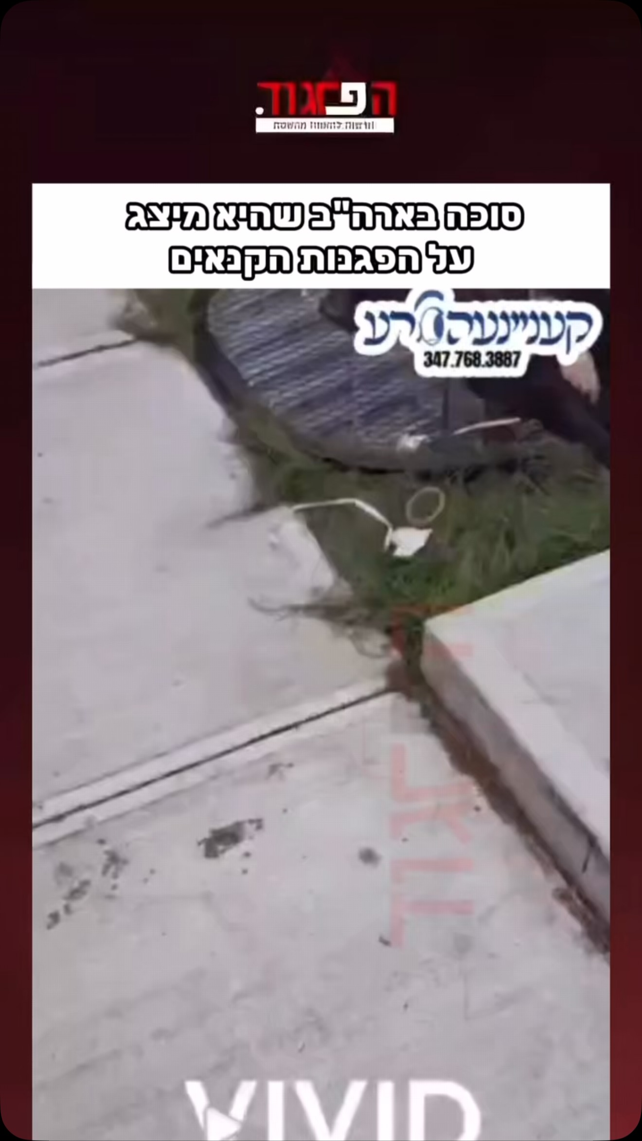 סוכה בארה”ב שהיא מיצג על הפגנות הקנאים...