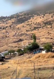 אחד הנזקים שהטורקים עשו פה בתקופה שהם שלטו בארץ הוא כריתת...