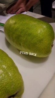 מטורף.. כניסה לשוק מחנה יהודה אתרוגים תמניים בגודל אקסטרה...