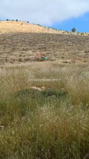 כזכור כך בעבר מחבלים הטמינו מטען מחובר לדגל אשף במטרה לגרור...