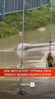 לבנתיים ברחובות תילאנד...