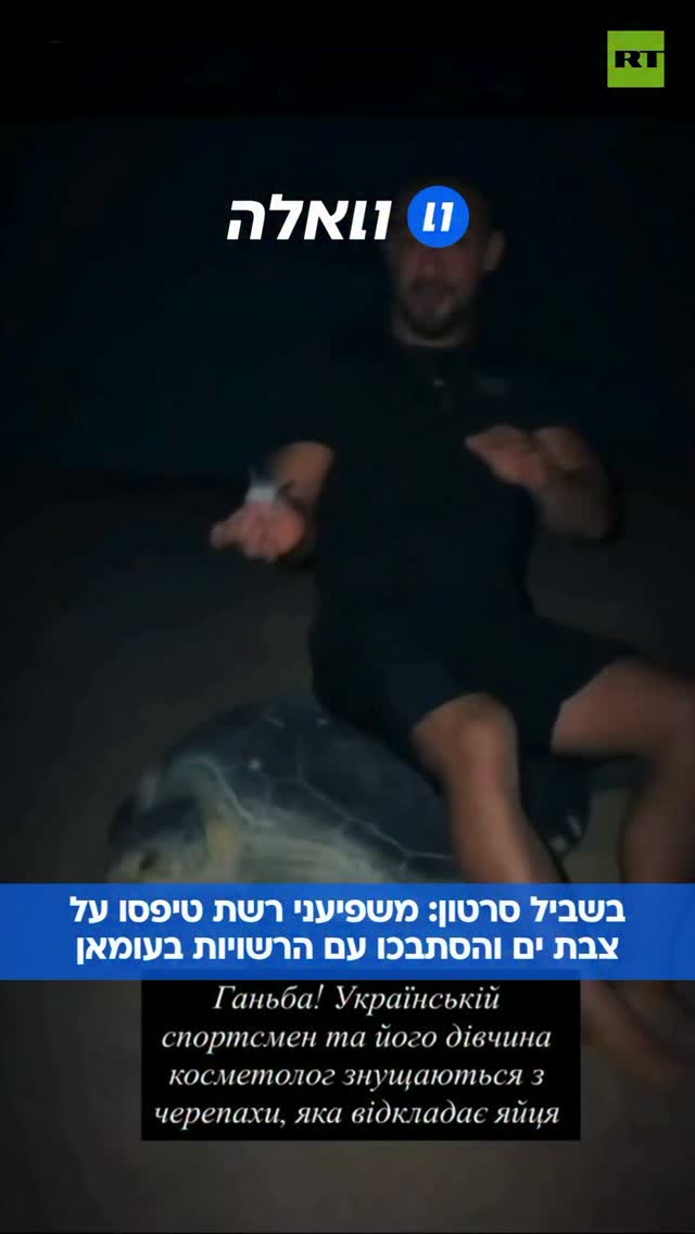 משפיען כושר אוקראיני ובת זוגו ישבו על צב ים מקננת בעומאן, והוא...