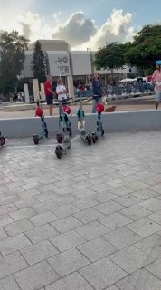 "אתם תת אדם, אתם ברברים, אתם חלאות" תושבת תל אביב מקדמת בברכה...