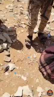 תימן: שני פעילים חות'ים שנלכדו בידי כוחות המיליציות הסוניות...