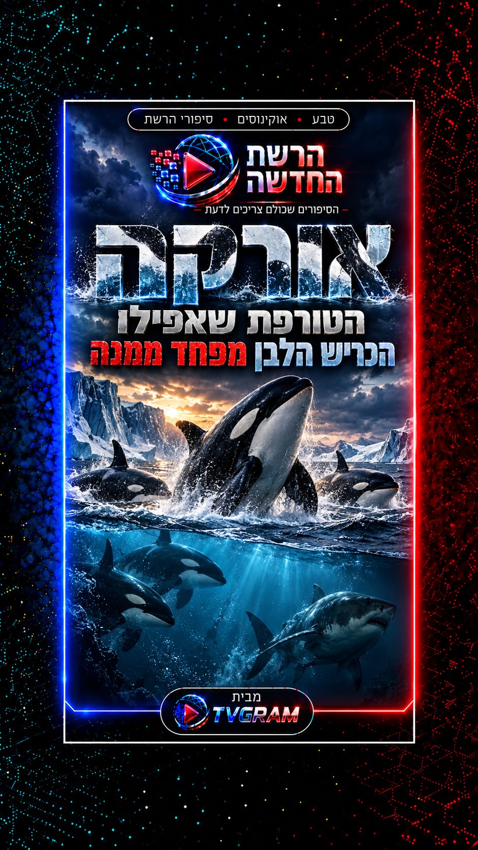 ⁨ באוקיינוס יש טורף אחד שגם הכריש הלבן מעדיף לא לפגוש...