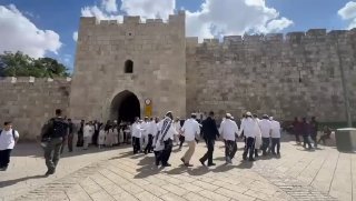 שמחת תורה בשכם...