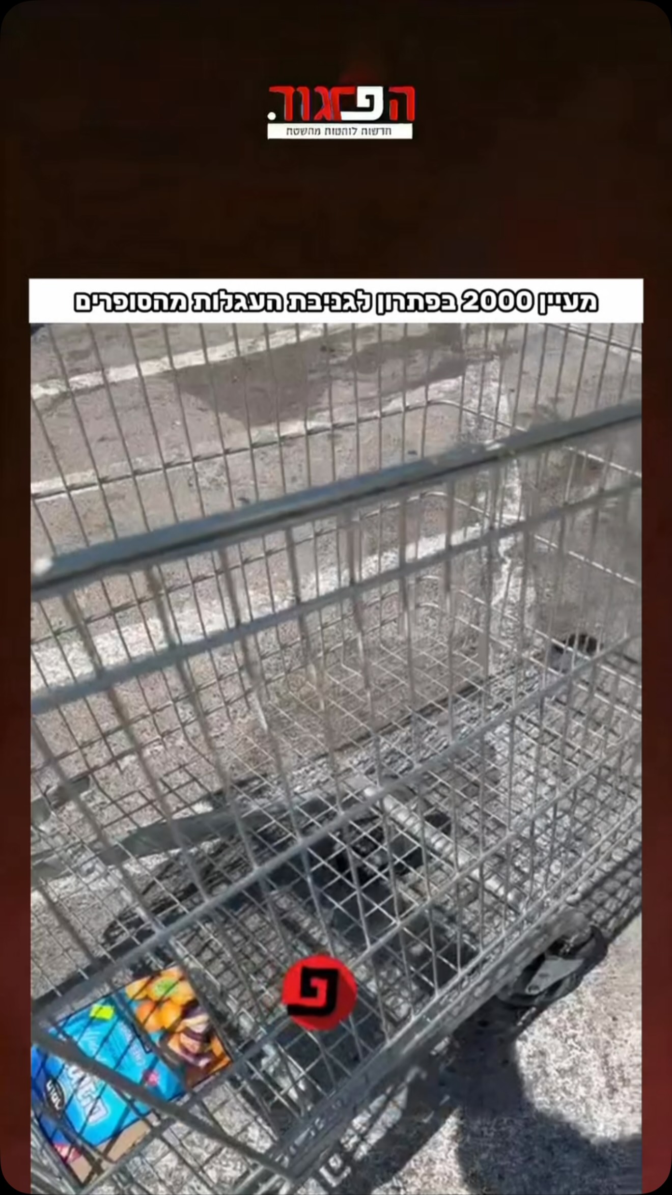 מעיין 2000 בפתרון לגניבת העגלות מהסופרים...