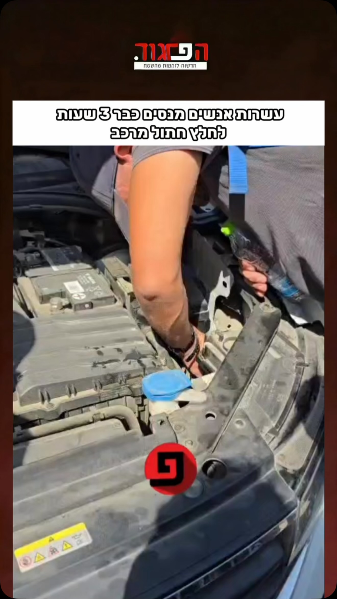 הר הרצל: עשרות אנשים מנסים כבר 3 שעות לחלץ חתול מרכב...