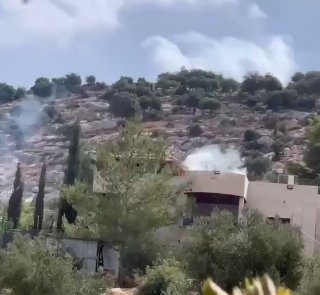 עונת המסיק החלה, ואיתה הפרובוקציות הפלסטיניות:...