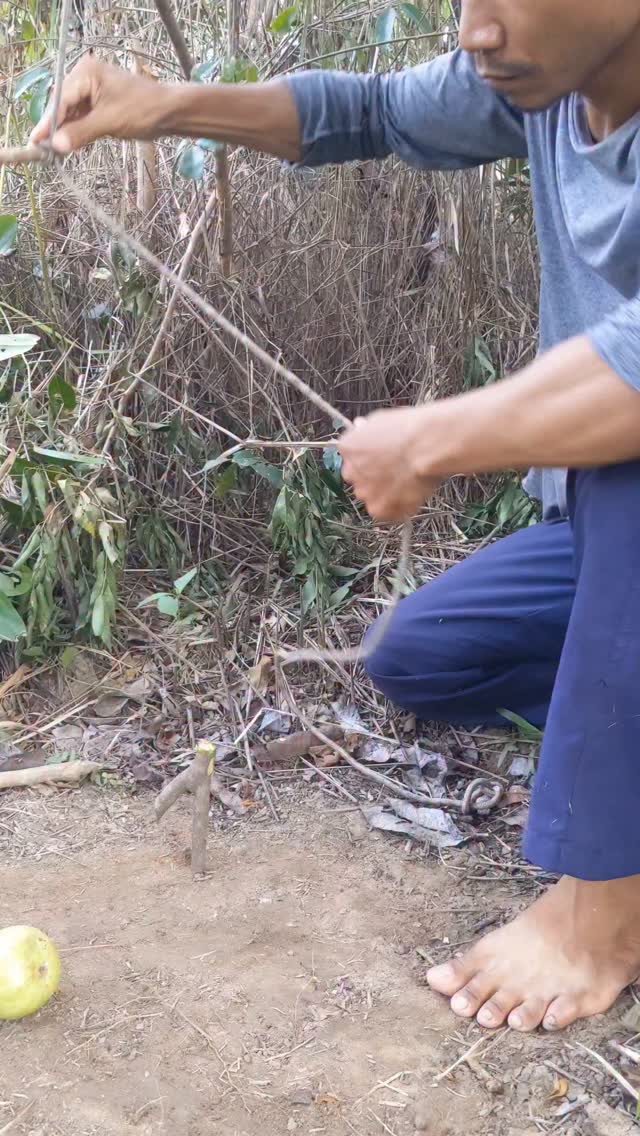 מלכודת עשה זאת בעצמך, כישורי יצירתיות, מלכודת, יצירה יצירתית...