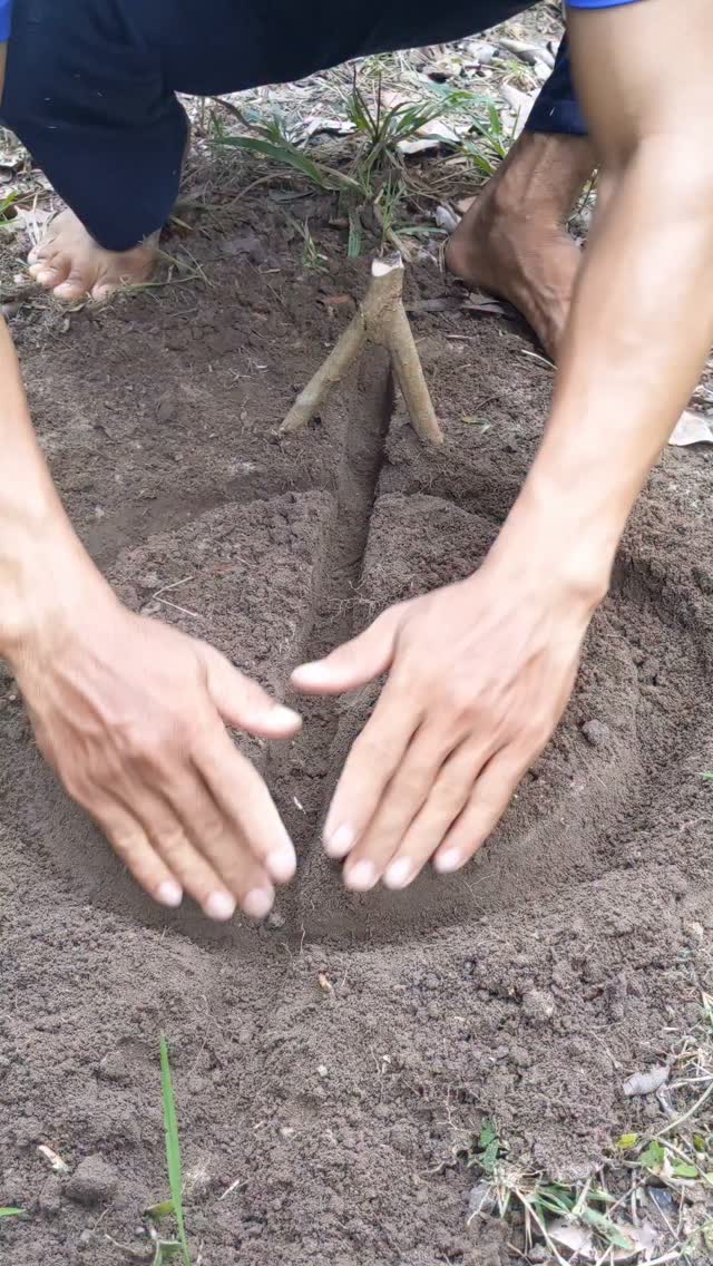 מלכודת קשרים נסתרים, מלכודת יצירתית, עבודות יער יצירתיות, עשה...