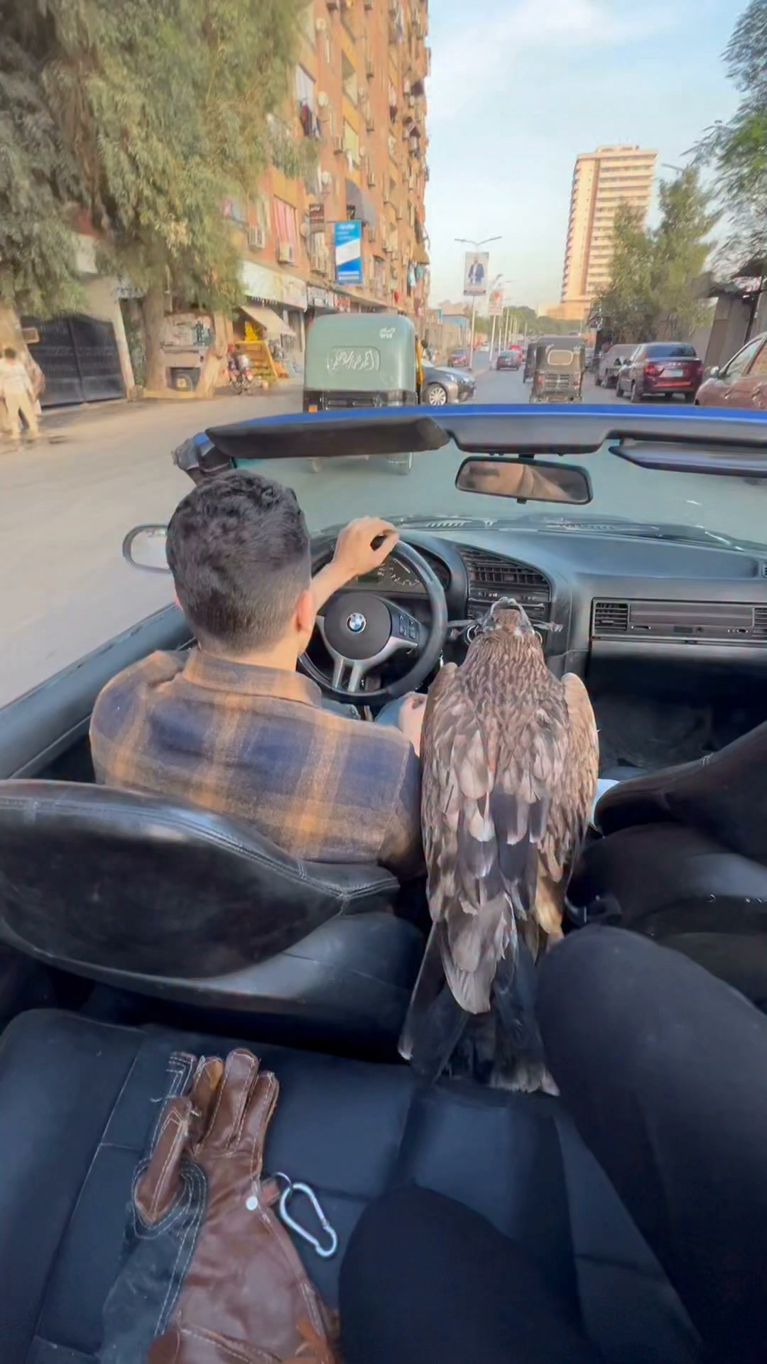 שמס רץ אחריי 💙🦅 מלכת הנשרים במצרים 🤍🇪🇬🦅...