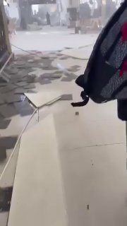 סרטון מהמקום, נראה הרבה יותר מ-12 הרוגים...