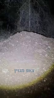 דורון קדוש בתיעוד: כך נראית המערה שאותרה ביישוב חורשים ליד קו...