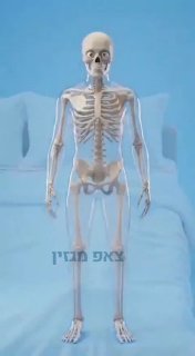 📱 זה מה שקורה כשאתם בודקים את הטלפון מיד כשאתם מתעוררים...