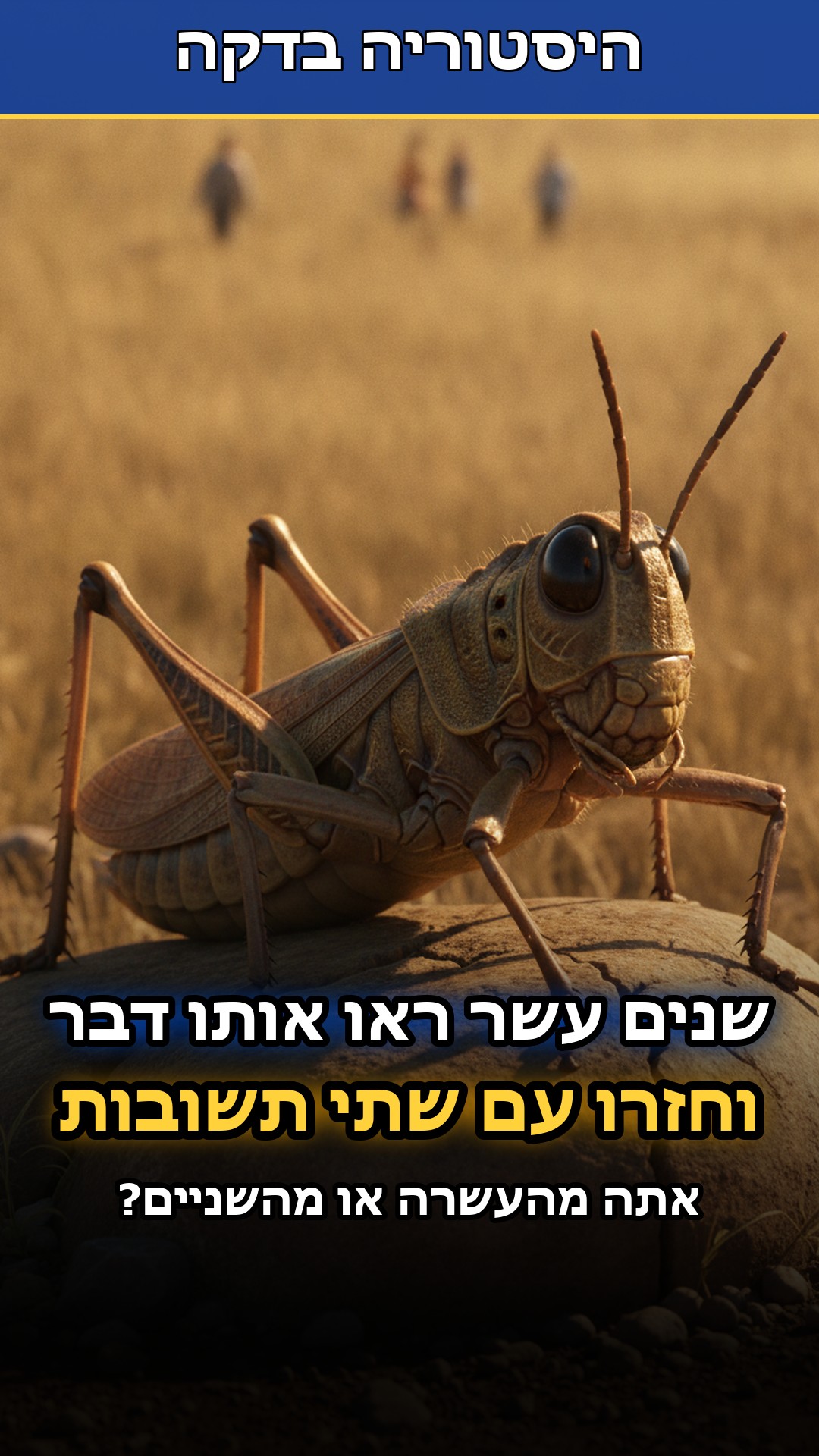 שנים עשר אנשים ראו בדיוק את אותו דבר. וחזרו עם שתי תשובות...