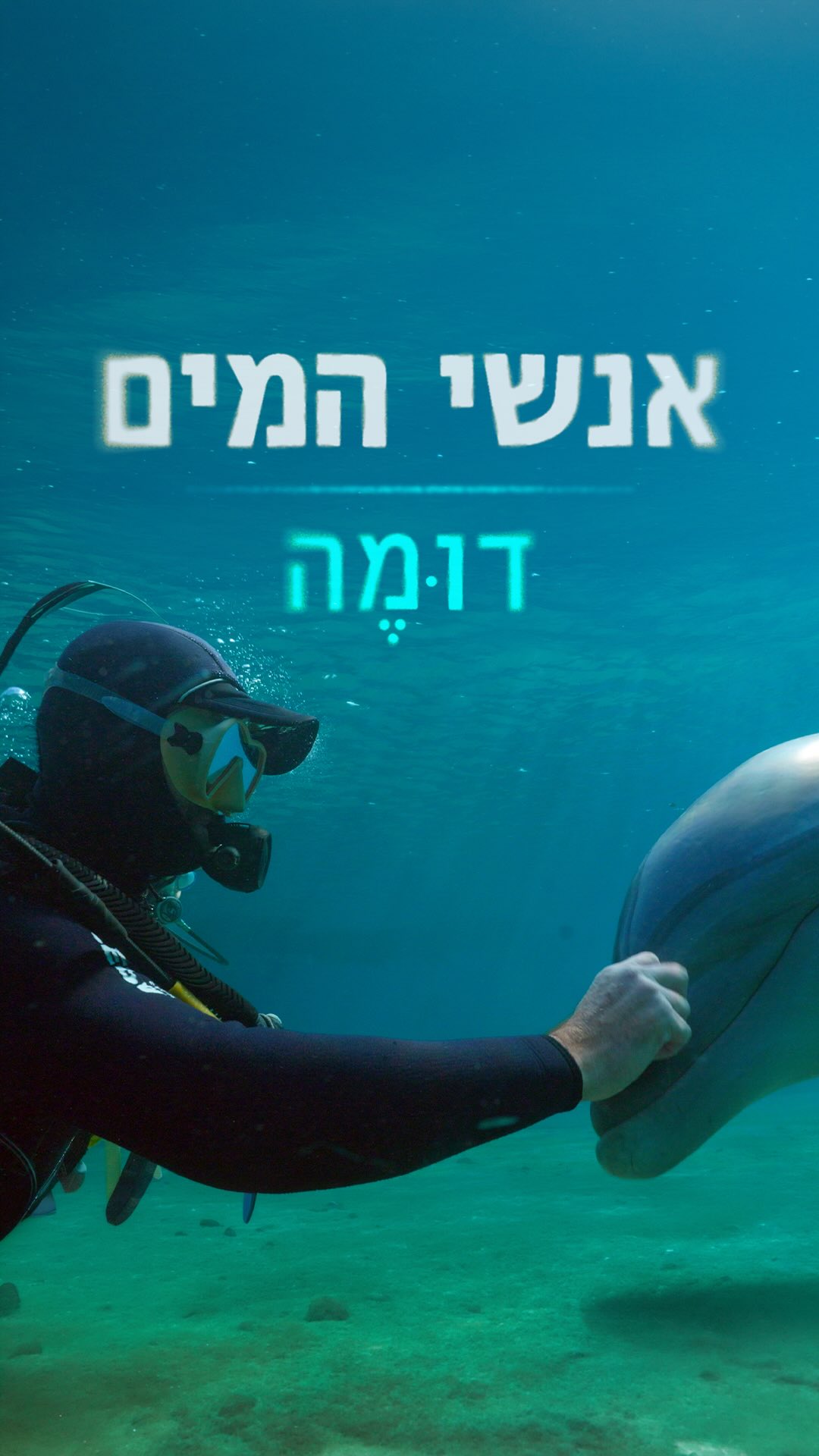 ⁨ למרות השם שלו, דומה תמיד בחר בדרך שונה: הוא מעדיף לחיות מתחת...