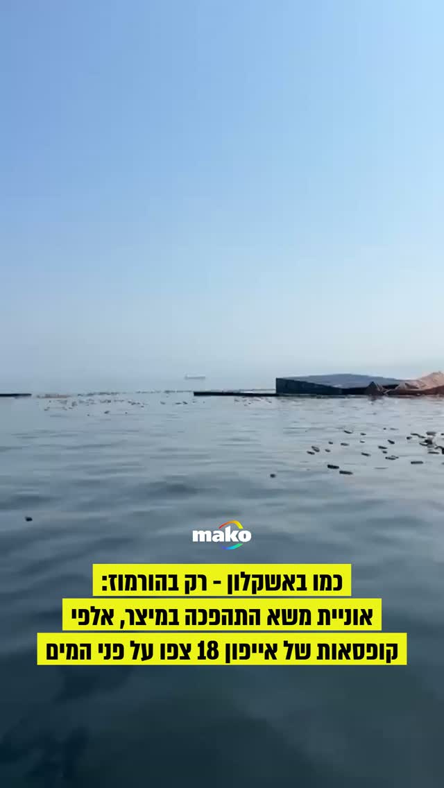חשבתם שדברים כאלה קוראים רק בארץ? תחשבו שוב. אוניית משא התהפכה...