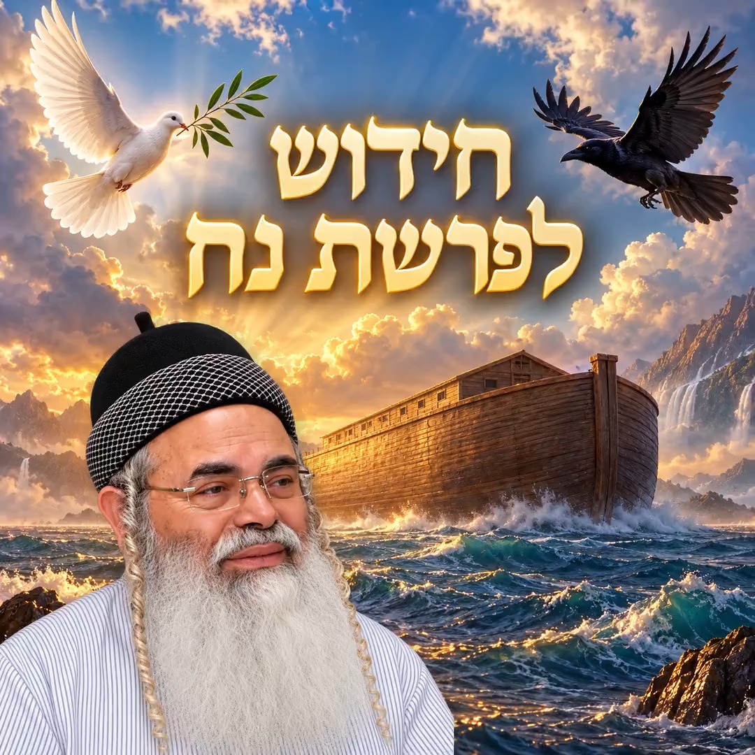 חידוש לפרשת נח. הרבאמנוןיצחק שבת שבתשלום שבתשלום❤️...