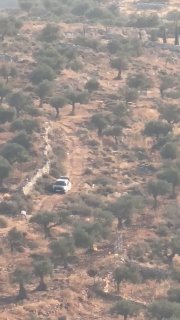 דיווח ערבי: רגע של תקיפת כלי רכב של מיליציית מתנחלים באדמות...