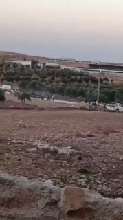 הערבים מדווחים כי מתנחלים גונבים עדר כבשים לאחר שתקפו את אזור...