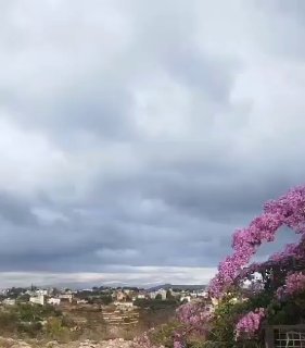 ד.ע: לוחמי צה"ל פתחו באש מקלעים לעבר העיירה זוותאר א-שרקייה,...