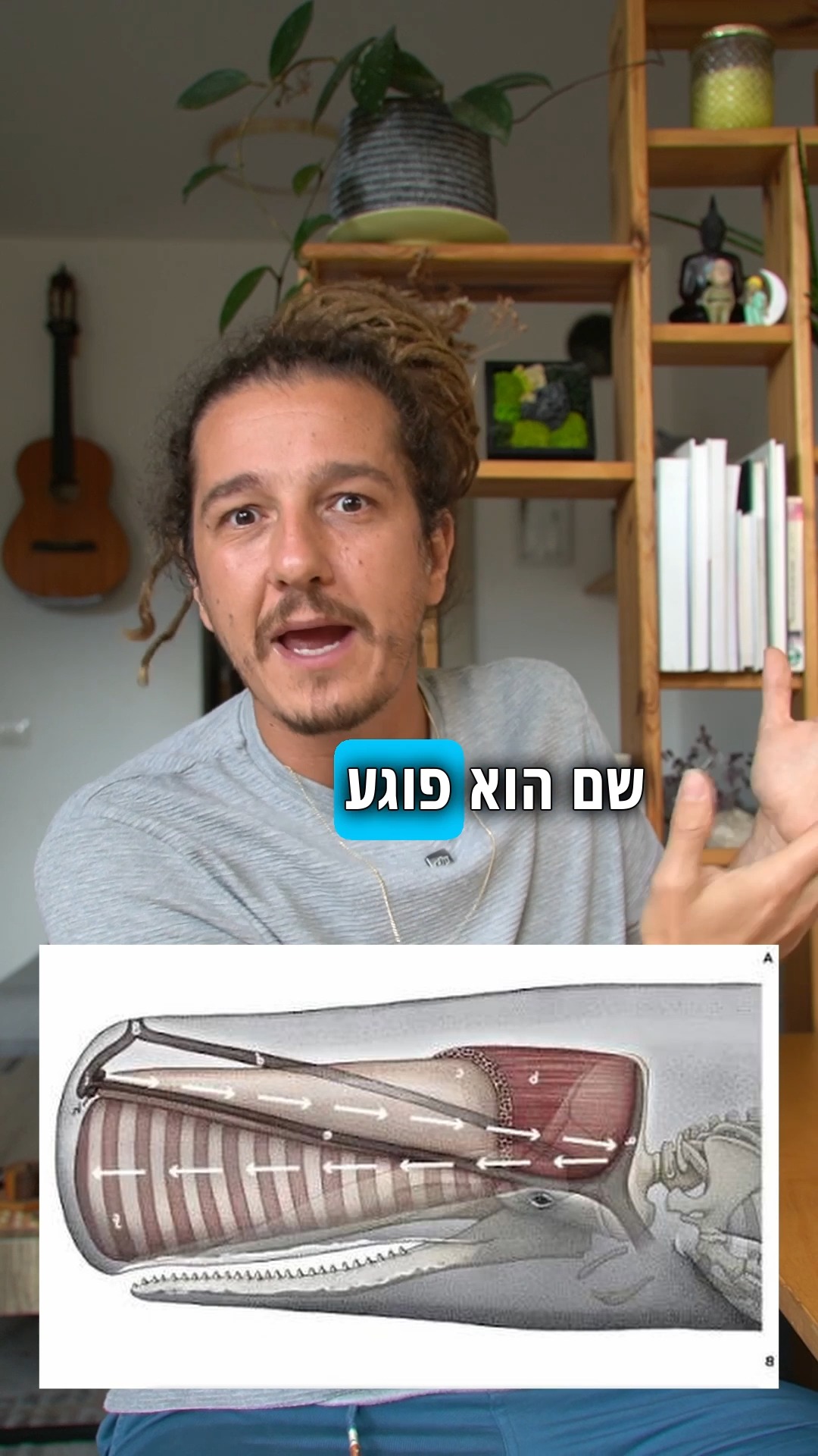 המון זמן לא עשינו איזו חייה......